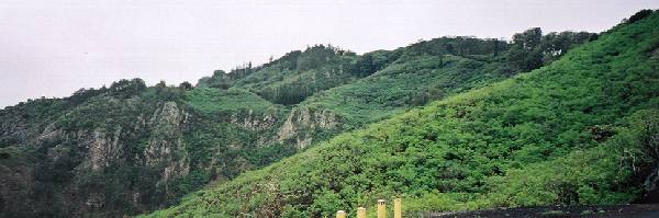 Looking up to the top of Green Mountain from the access road